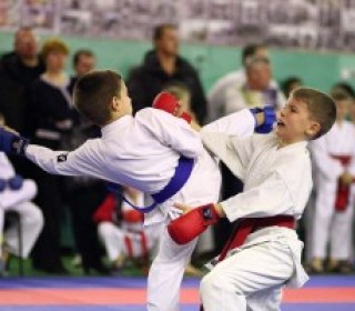 karatefight-300×200